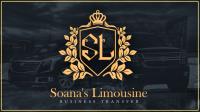 Soana’s Limousine image 7