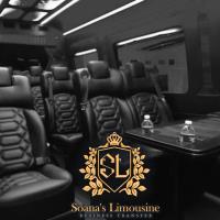 Soana’s Limousine image 8