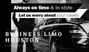 Business Limo Houston logo