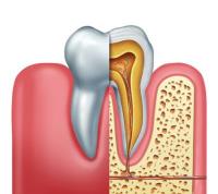 Dyme Dental LLC image 7