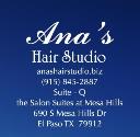 Ana's Hair Studio logo