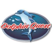 Dolphin Quest image 1