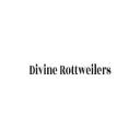 Diviner Ottweilers logo
