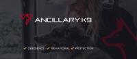 Ancillary K9 Dog Training image 4