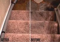 Islip Carpet Cleaning image 2