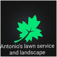 Antonio's Lawn Service and Landscape image 1
