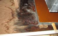 Water Damage Experts of Long Beach image 2