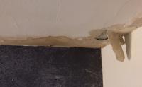 Water Damage Experts of Long Beach image 4