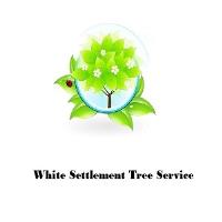 White Settlement Tree Service image 1