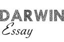 darwinessay.net logo