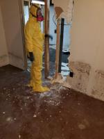 Quick2Dry Restoration & Mold Remediation image 7