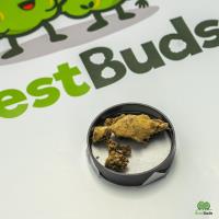 Best Buds image 3