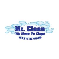 Mr Clean of South Carolina image 1