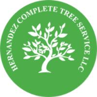  Hernandez Complete Tree Service image 1