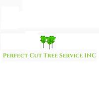 Perfect Cut Tree Service Inc image 1