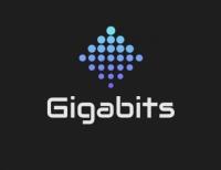 Gigabits Computer Repair & IT Solutions image 1