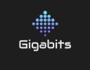 Gigabits Computer Repair & IT Solutions logo