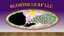 Blowingleaf LLC logo