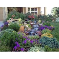 Mountain Sky Landscaping & Pools image 2