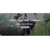 Chesapeake Tree Company image 1