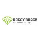Doggy Brace logo