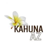 Kahuna Chair image 1