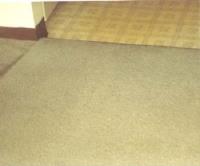 Simply Clean Carpet Care image 2
