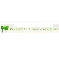 Perfect Cut Tree Service Inc image 1