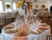 Functionelle Events and Catering Decor LLC image 2