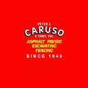 Peter J Caruso & Sons Incorporated logo