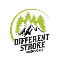Different Stroke Motorsports logo