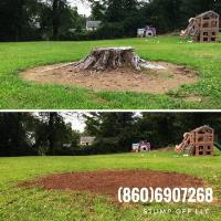 Stump "OFF" LLC Stump Grinding image 4