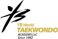 YB World Taekwondo Academy image 1