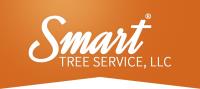 Smart Tree Service image 4