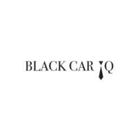 Black Car IQ image 1