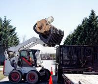 San Diego Tree Removal Services image 5