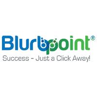 Blurbpoint LLC image 1