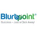 Blurbpoint LLC logo