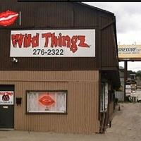 Wild Thingz Entertainment image 1