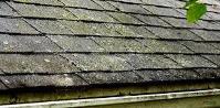 Roof Cleaning Grand Rapids image 5