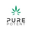 Pure Potent CBD logo