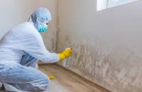 Chesterfield Mold Removal Solutions image 1