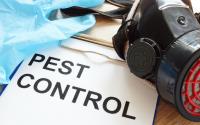 Jupiter Pest Control Solutions image 2
