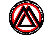 Indianapolis Jiu Jitsu Coach - BJJ Coach Indiana Academy image 1