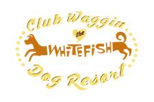Club Waggin The Whitefish Dog Resort image 1