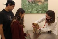 WellCare Veterinary Services image 3