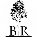 Birmingham Recovery Center - Alcohol & Drug Rehab logo