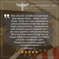 Lincoln-Goldfinch Law image 22