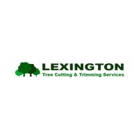 Lexington Tree Cutting & Trimming Services image 1