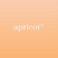 Apricot Branding image 7